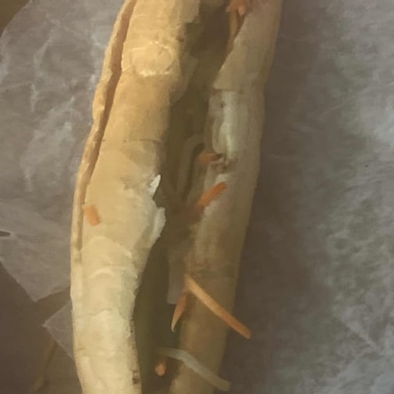 Banh Mi: Vietnamese Sandwiches and More