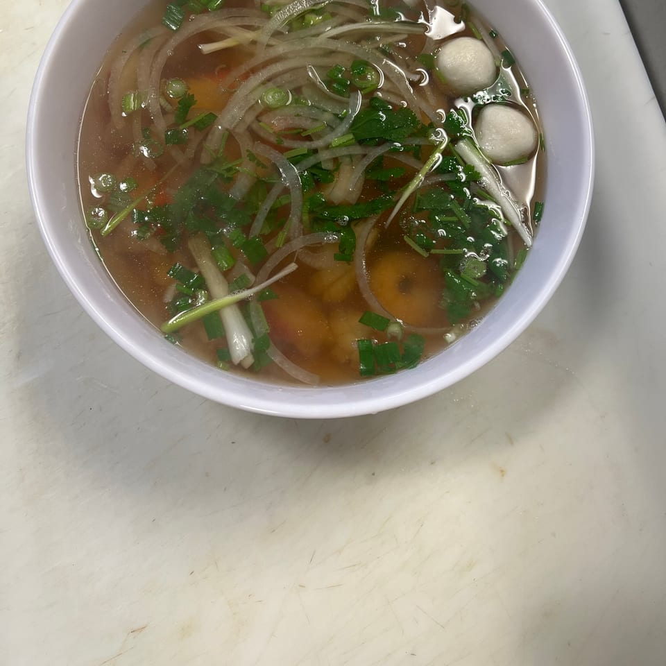 Authentic Vietnamese Pho and More